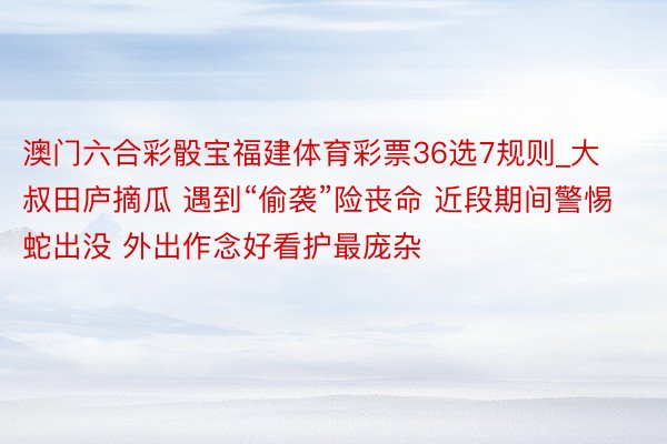 澳门六合彩骰宝福建体育彩票36选7规则_大叔田庐摘瓜 遇到“偷袭”险丧命 近段期间警惕蛇出没 外出作念好看护最庞杂