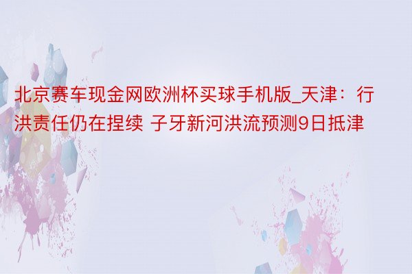 北京赛车现金网欧洲杯买球手机版_天津：行洪责任仍在捏续 子牙新河洪流预测9日抵津