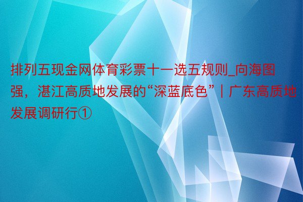 排列五现金网体育彩票十一选五规则_向海图强，湛江高质地发展的“深蓝底色”｜广东高质地发展调研行①