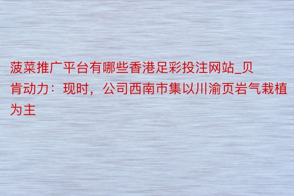 菠菜推广平台有哪些香港足彩投注网站_贝肯动力：现时，公司西南市集以川渝页岩气栽植为主